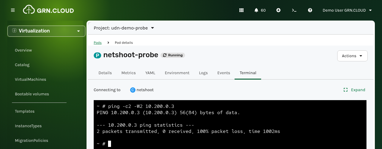 Probe pod terminal showing 100% packet loss